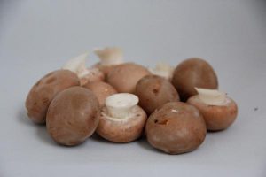 Champignon-ratatouille
